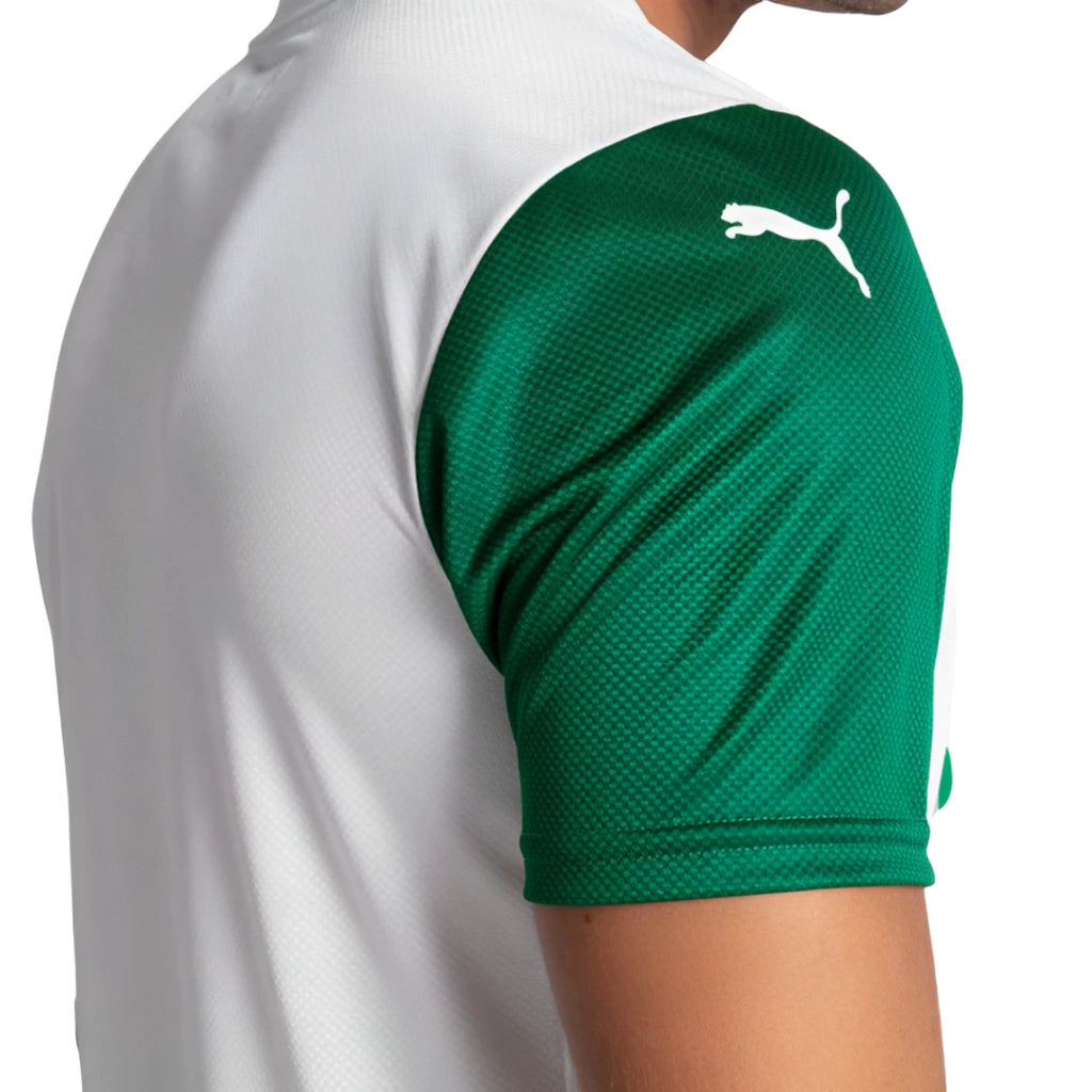 Camisa Palmeiras II 25/26 - Jogador Masculina - Branca e Verde